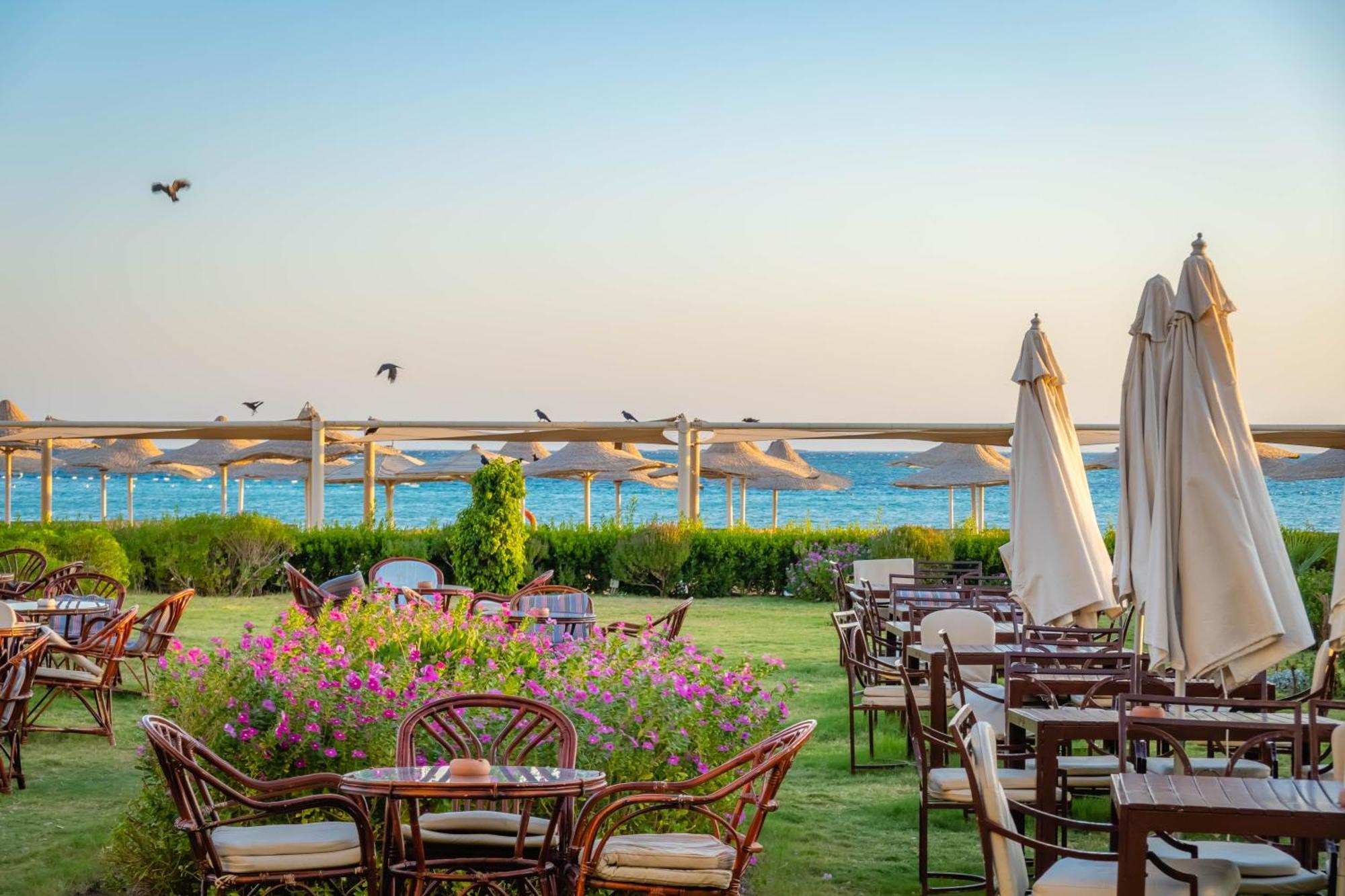 Magic Beach Hotel הורגהדה מראה חיצוני תמונה