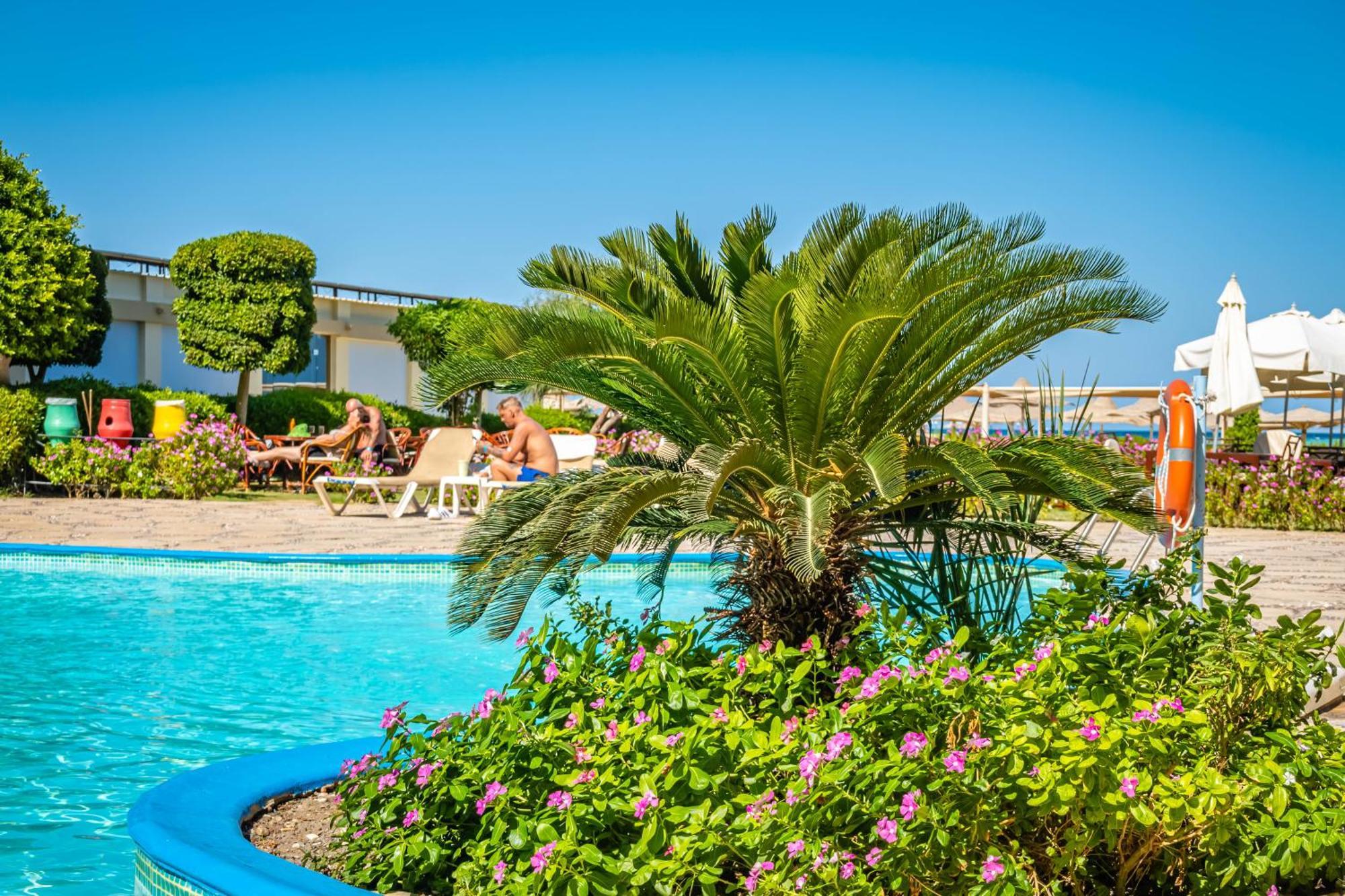 Magic Beach Hotel הורגהדה מראה חיצוני תמונה